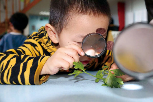 共同编织儿童快乐成长的摇篮——北京市第一幼儿园综合教育实践纪实