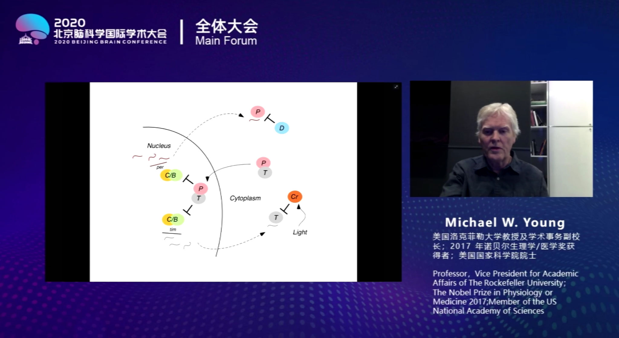 三位诺奖得主领衔80余位专家学者相聚“云端”，北京脑科学国际学术大会成功举办