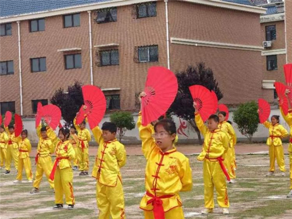 江苏新沂举办中小学游泳武术进校园推进会