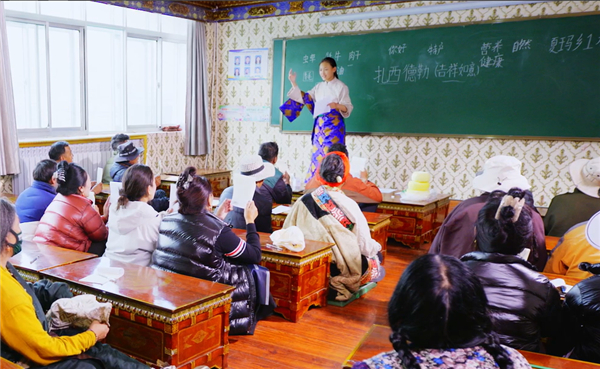 《中小学汉字书写数字化教学规范》团体标准发布会在湖北武汉举行